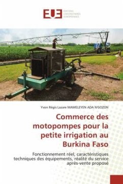 Commerce des motopompes pour la petite irrigation au Burkina Faso - Mameleyen Ada, Yvon Régis Lazare