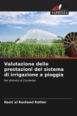 Valutazione delle prestazioni del sistema di irrigazione a pioggia