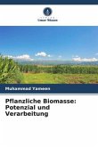 Pflanzliche Biomasse: Potenzial und Verarbeitung