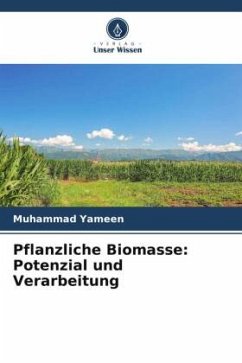 Pflanzliche Biomasse: Potenzial und Verarbeitung - Yameen, Muhammad