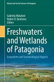 Freshwaters and Wetlands of Patagonia (eBook, PDF)