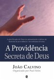 A providência secreta de Deus (eBook, ePUB)