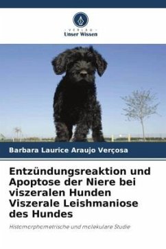Entzündungsreaktion und Apoptose der Niere bei viszeralen Hunden Viszerale Leishmaniose des Hundes - Araújo Verçosa, Bárbara Laurice