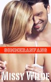 Sommeranfang (eBook, ePUB)