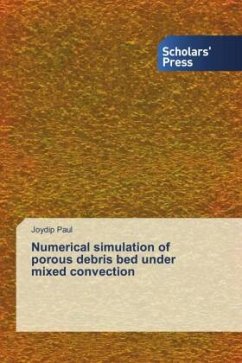 Numerical simulation of porous debris bed under mixed convection - Paul, Joydip