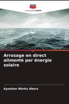 Arrosage en direct alimenté par énergie solaire - Abera, Aynalem Worku