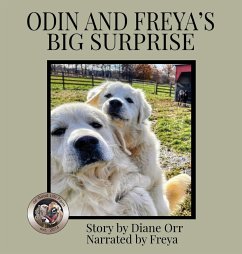 Odin and Freya's Big Surprise - Orr, Diane