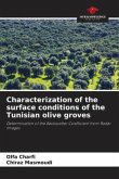 Characterization of the surface conditions of the Tunisian olive groves