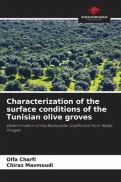 Characterization of the surface conditions of the Tunisian olive groves - Charfi, Olfa;Masmoudi, Chiraz