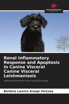 Renal Inflammatory Response and Apoptosis in Canine Visceral Canine Visceral Leishmaniasis - Araújo Verçosa, Bárbara Laurice