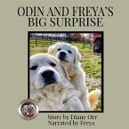 Odin and Freya's Big Surprise