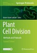 Plant Cell Division - Bild 1