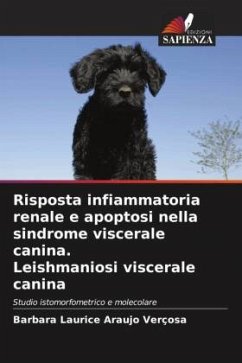 Risposta infiammatoria renale e apoptosi nella sindrome viscerale canina. Leishmaniosi viscerale canina - Araújo Verçosa, Bárbara Laurice