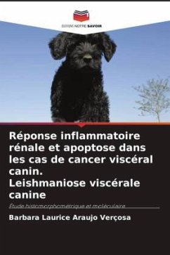 Réponse inflammatoire rénale et apoptose dans les cas de cancer viscéral canin. Leishmaniose viscérale canine - Araújo Verçosa, Bárbara Laurice