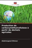 Production de carboxyméthylcellulase à partir de déchets agricoles