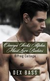 Omega Seeks Alpha, Must Love Babies (Mpreg College) (eBook, ePUB)