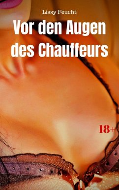 Cover Vor den Augen des Chauffeurs (eBook, ePUB)