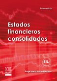 Estados financieros consolidados - 3ra edición (eBook, PDF)