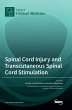 Spinal Cord Injury and Transcutaneous... - Bild 1