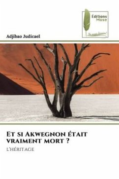 Et si Akwegnon était vraiment mort ? - Judicael, Adjibao