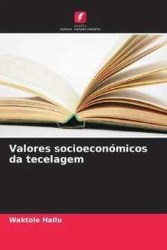 Valores socioeconómicos da tecelagem - Hailu, Waktole