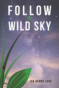 Follow The Wild Sky - Love, Ian Henry