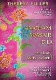 Amcham, Apasair, Bila or How, Why, When