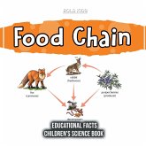 Food Chain Educational Facts Children's Science Book