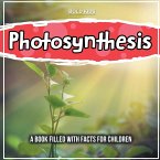 Photosynthesis: The Science Behind This - Facts For Children