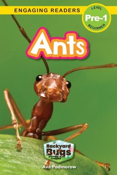 Ants - Podmorow, Ava