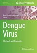 Dengue Virus - Bild 1