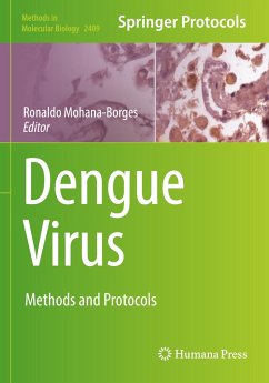 Dengue Virus