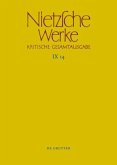 Nachbericht zur neunten Abteilung / Friedrich Nietzsche: Nietzsche Werke. Abteilung 9: Der handschriftliche Nachlaß ab Frühjahr 1885 in differenzierter Tran Band 14