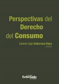 Perspectivas del derecho del consumo año 2013. (eBook, PDF)