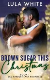 Brown Sugar This Christmas (Sag Harbor Black Romances, #1) (eBook, ePUB)
