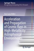 Acceleration and Propagation of Cosmic Rays in High-Metallicity Astrophysical Environments (eBook, PDF)