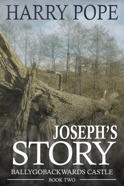 Cover Joseph's Story (eBook, PDF)