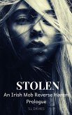 Stolen (eBook, ePUB)