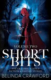Short Bits, Volume 2 (eBook, ePUB)