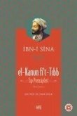 El-Kanun fit-Tibb Tip Prensipleri, Ciltli