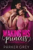 Waking His Princess: A Sleeping Beauty Romance (Filthy Fairy Tales, #2) (eBook, ePUB)