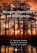 Biogeochemistry of Wetlands (eBook, PDF) - Bild 1