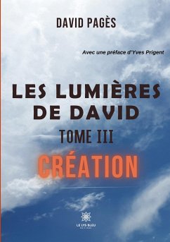 Les lumières de David: Tome III: Création - David Pagès