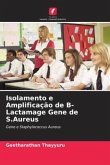 Isolamento e Amplificação de ¿-Lactamage Gene de S.Aureus