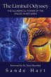 The Liminal Odyssey, The Alchemical... - Bild 1
