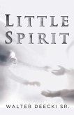 Little Spirit (eBook, ePUB)