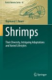 Shrimps