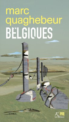 Belgiques (eBook, ePUB) - Quaghebeur, Marc