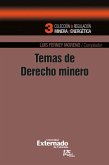 Temas de derecho minero (eBook, PDF)