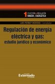 Regulación de energía eléctrica y gas: estudios jurídico y económico (eBook, PDF)